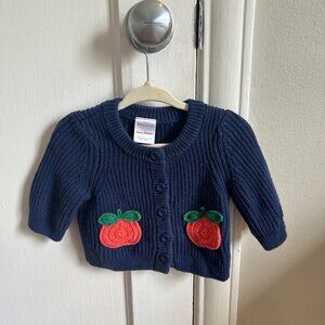 Hanna Andersson Organic Pumpkin Sweater Blue